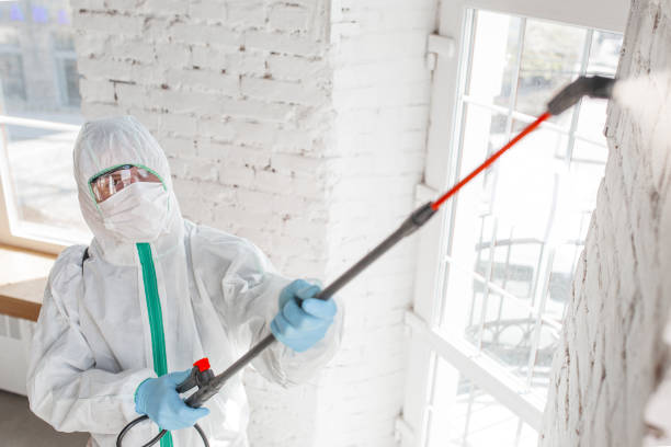 Best Indoor Air Quality Assessment  in Stewartville, MN