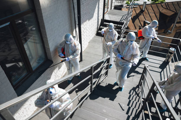 Best Biohazard Mold Removal  in Stewartville, MN