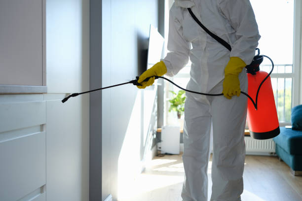 Best Asbestos and Lead Testing During Mold Inspection  in Stewartville, MN