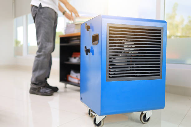 Best Mold-Related Health Consultation  in Stewartville, MN